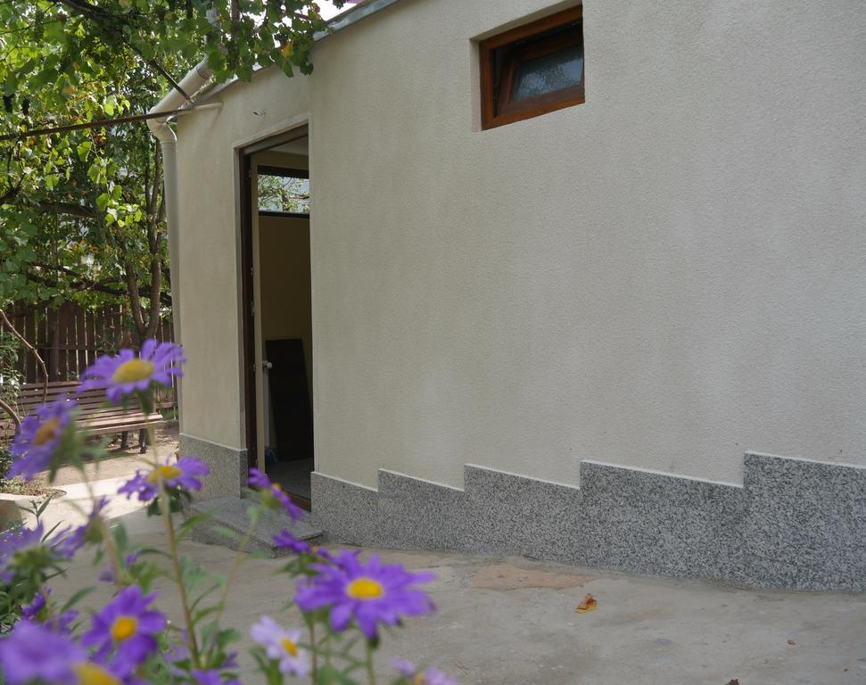 Luxury Apartment At Pirosmani 22 In Central Borjomi Eksteriør billede