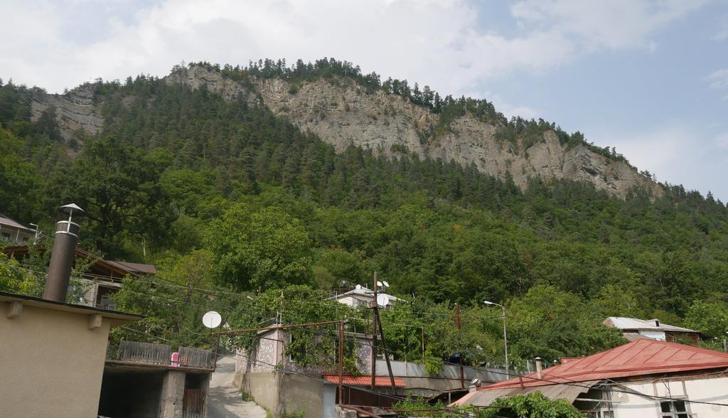 Luxury Apartment At Pirosmani 22 In Central Borjomi Eksteriør billede